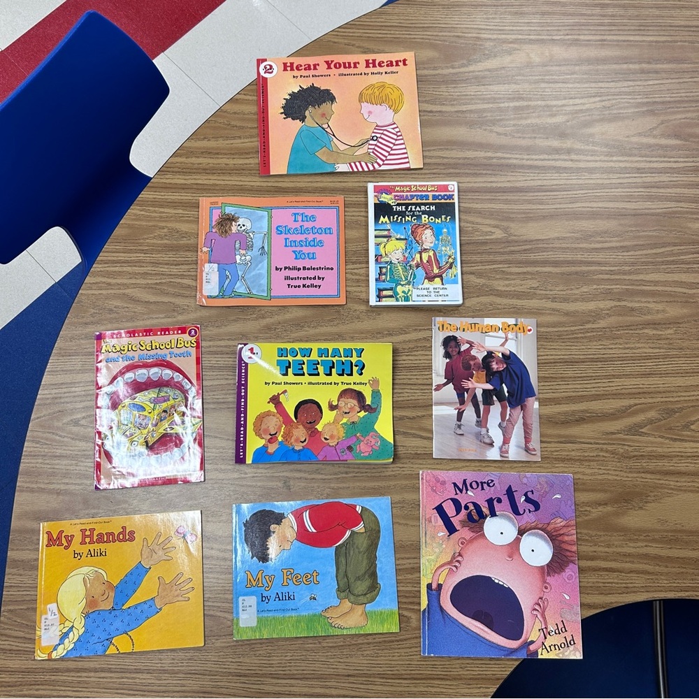 Assorted Kids Picture Books - Colorful Classroom Collection